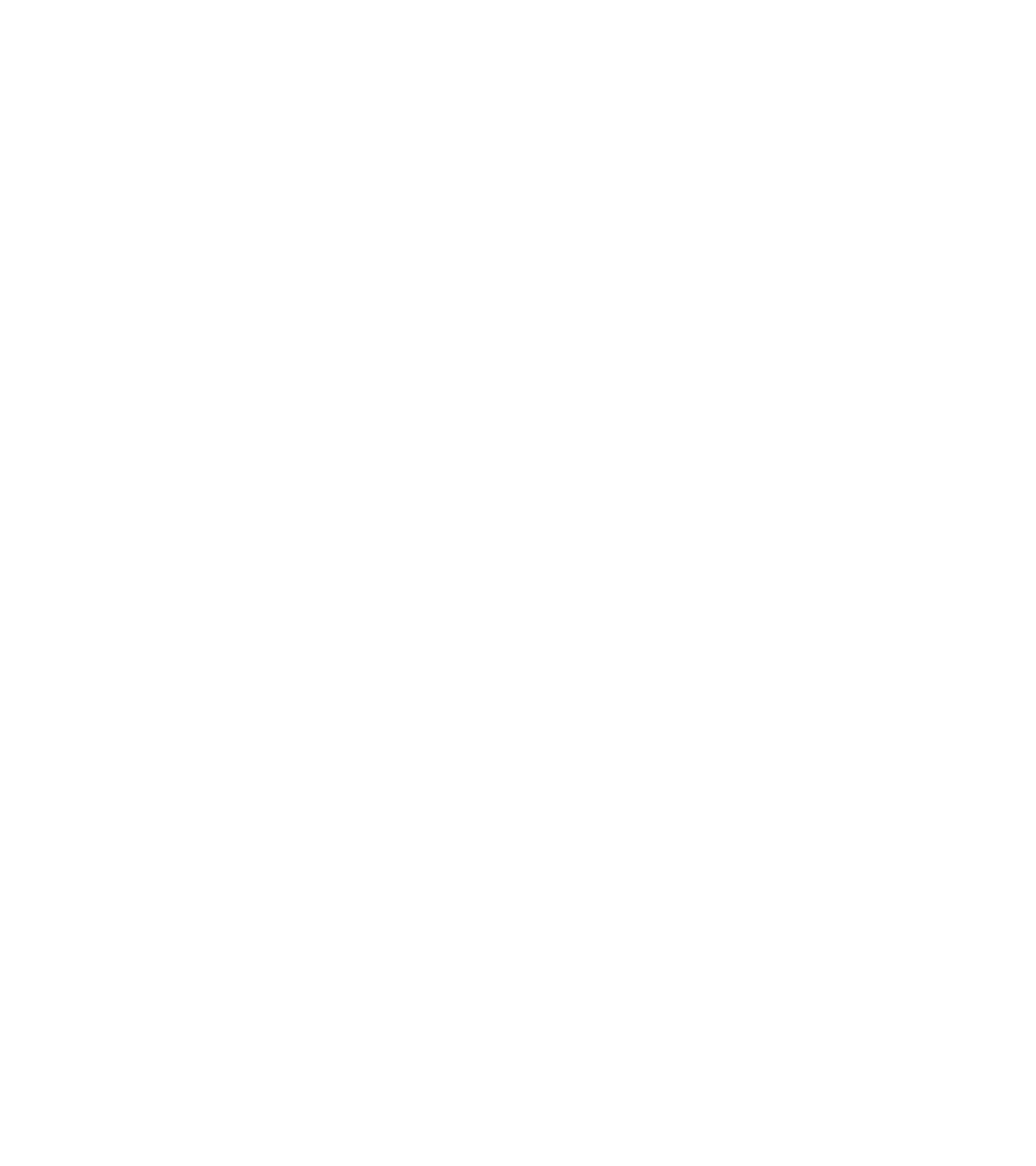 Ogami logo